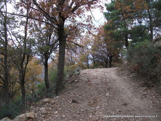 Montagna Grande